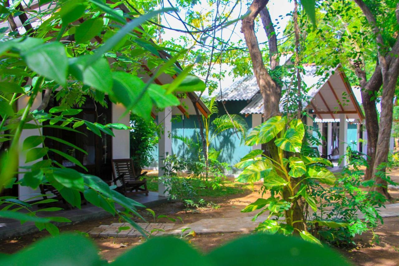 Palmyra Nature Resort Sigiriya Buitenkant foto