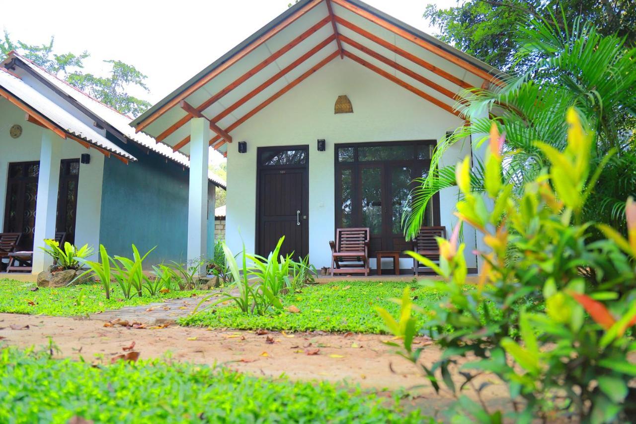 Palmyra Nature Resort Sigiriya Buitenkant foto