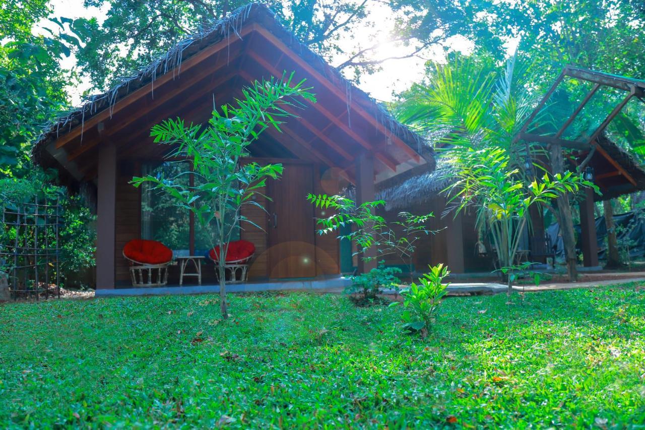 Palmyra Nature Resort Sigiriya Buitenkant foto